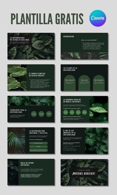 a bunch of green plants with the words plantilla gratis on them