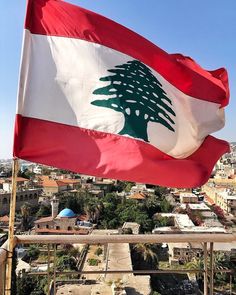 a large flag flying in the wind over a cityscape with buildings and trees