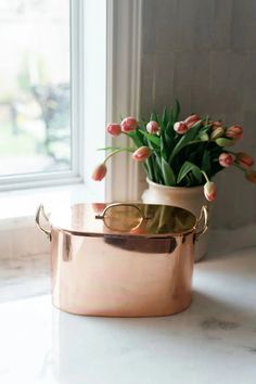 a potted plant sitting on top of a counter next to a window