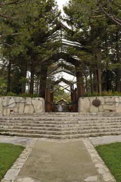 an outdoor area with stone steps and stairs leading to the top of some tall trees