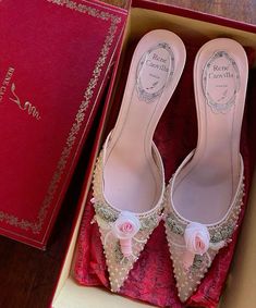 Dream Shoe, Shoes Heels Classy, Floral Heels, Rene Caovilla, Fancy Shoes, Girly Shoes