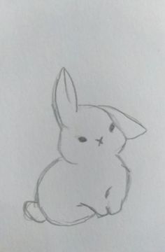 a pencil drawing of a rabbit sitting down