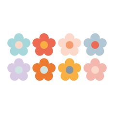 six different colored flowers on a white background