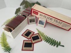 a box of 40 - sided trays next to a fern plant and some matches