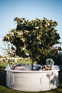 an outdoor bar with drinks on it and a tree in the backgrounge