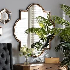 a mirror and some plants in a room