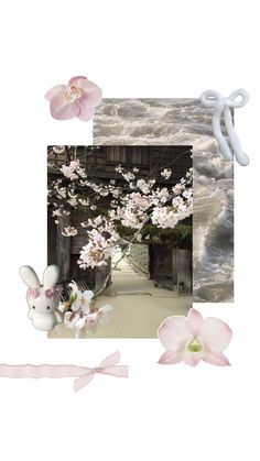 a collage with pink flowers and a white bunny in the middle, along with other images