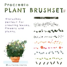 the procreate plant brusheset is designed to be used for creating flowers and plants