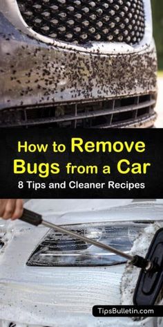 how to remove bug's from a car 8 tips and cleaner recipes cover image