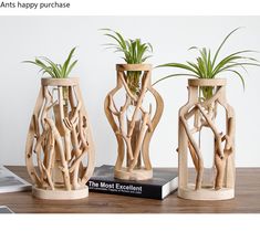 three wooden vases sitting on top of a table next to each other with plants in them