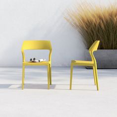 two yellow chairs sitting next to each other in front of a white wall and grass