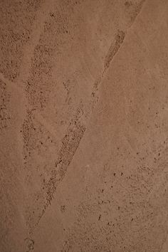 a bird is standing in the sand on top of a hill with its foot prints