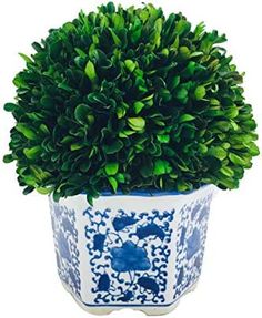 a blue and white potted plant with green leaves on it's top, in front of a white background