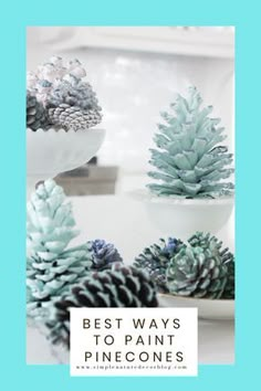 some pine cones are sitting on a plate with the words best ways to paint pinecones