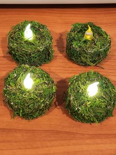 four moss covered candles sitting on top of a wooden table next to a small bird