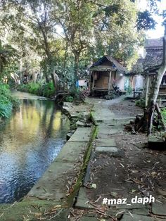 a river running through a lush green forest next to small wooden houses on stilts