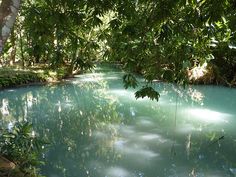 the water is very blue and green in this area with many trees around it,