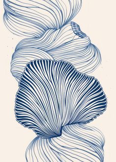 a blue and white drawing of an abstract flower with wavy lines on the petals, as well as a butterfly