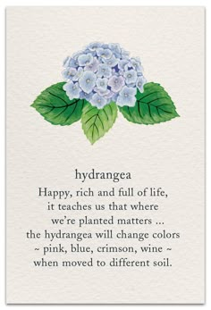 a card with flowers on it that says hydrangea happy, rich and full of life