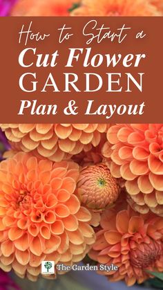 an orange flower with the title how to start a cut flower garden plan and layout