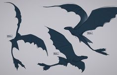 three different types of flying bats on a white background with black writing in the bottom right corner