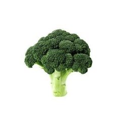 a piece of broccoli on a white background