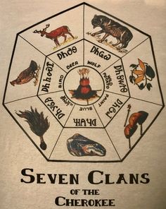 seven clams of the checkee circle on a white t - shirt with black lettering