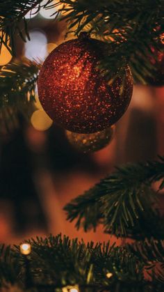 a christmas ornament hanging from the top of a tree with lights in the background