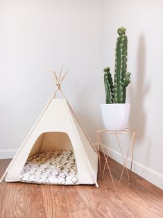 a white teepee tent next to a cactus in a room with wood flooring