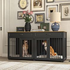 two dogs are sitting in their kennels next to a lamp and pictures on the wall