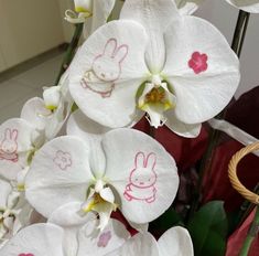 white orchids with pink and red designs on them are in a basket next to other flowers