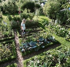 Vegetable Garden Planner, Pinterest Garden, Loft Space, Camille Styles, Potager Garden, Garden Planner, Garden Types