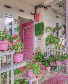 a pink door and some potted plants on the porch