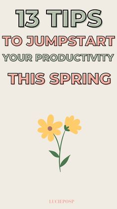 Spring is the perfect season to embrace a more productive lifestyle. With the warmer weather, longer days, and blooming nature, you can take advantage of this fresh and vibrant season to incorporate new habits, streamline tasks, and make the most of your time and energy. By incorporating some simple strategies, you can hold yourself accountable and create a productive spring that will launch you into a more productive year. Hold Yourself Accountable, Productive Lifestyle