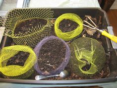 several netted pots with plants in them