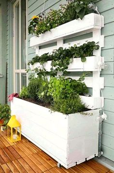 a white planter filled with lots of plants on top of a wooden floor next to a house