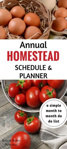 some tomatoes and eggs on a table with the words, annual homestead schedule & planner