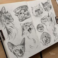 an open notebook with drawings of cats and dogs on the pages, including one cat's head