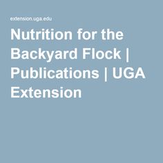 the text nutrition for the backyard flock publications / uga extension is shown in white