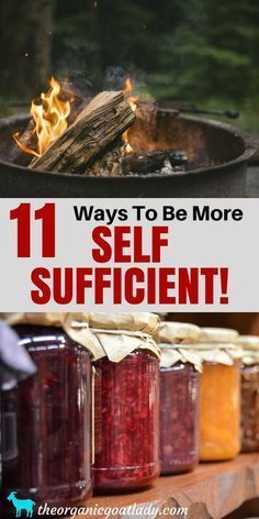 11 Ways To Be More Self Sufficient! Self Sufficiency, Frugal and Self Sufficient Living, Off Grid Living, Self Sufficient Homestead Self Sufficient Living, Self Sufficient Homestead, Off Grid Homestead, Homesteading Diy, Homesteading Skills, Self Sufficient, Urban Homesteading, Living Off The Land, Homestead Survival