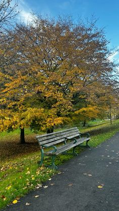 a wooden bench sitting next to a tree filled with lots of yellow leaves on top of a lush green field