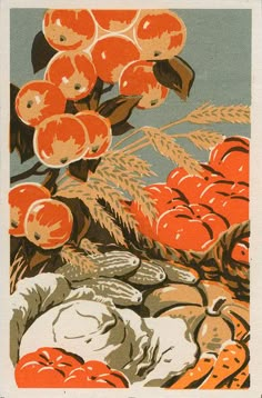 an image of apples and other fruit on display