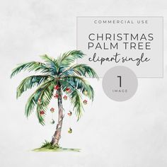 a palm tree with the words commercial use christmas palm tree clipart single on it