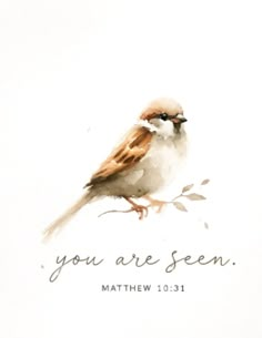 a watercolor painting of a bird on a branch with the words you are seen