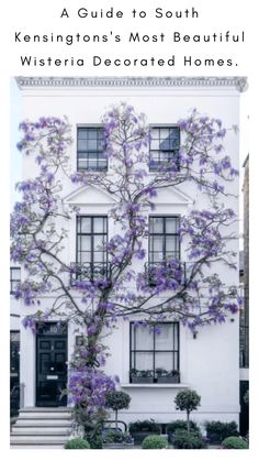 a white house with purple flowers on the tree