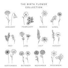 the birth flower collection is shown in black and white