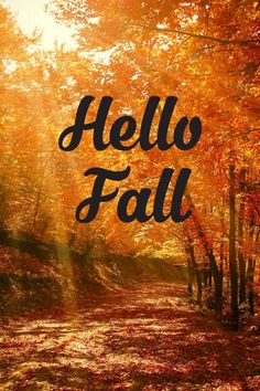 Fall quotes. Autumn Words Quotes, Autumn Beauty Quotes, Autumn Sayings Quotes, Autumn Quotes Inspirational Short