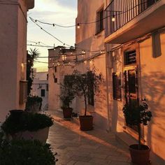 an alley way with potted plants and lights strung from the building's balconies