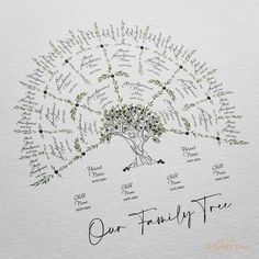 Olive Family Tree Medium Digital Family Tree Template MyGeneTree Family Tree Templates, Unique Family Tree, Family Tree Painting, Family Tree Art, Text Artwork, Family Tree Project, Custom Family Tree, Family Tree Genealogy, Family Story