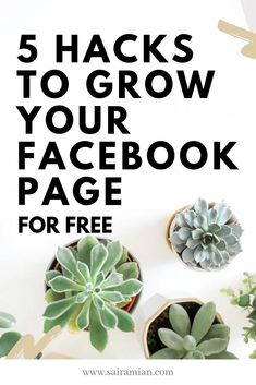 the words 5 hacks to grow your facebook page for free with succulent plants